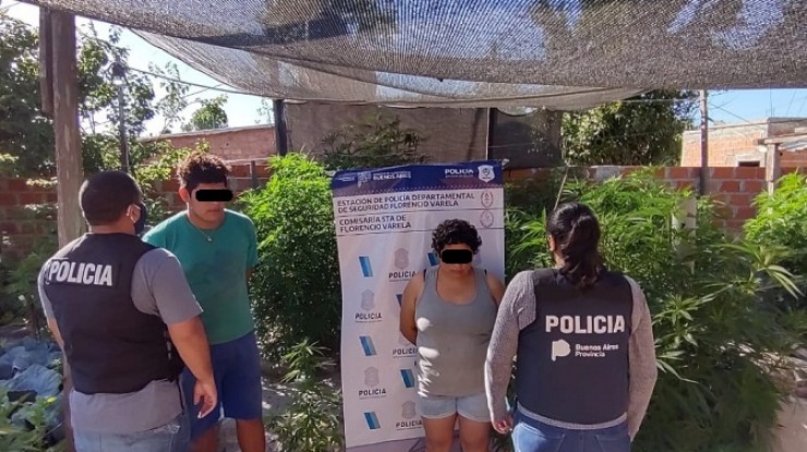 Aprehendieron a madre e hijo paraguayos por cultivar marihuana